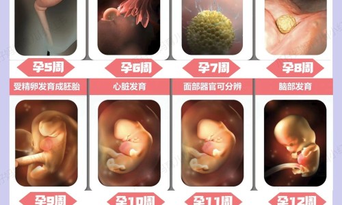 腋臭手术后用药贵吗网 - 为你提供做腋臭手术后用的恢复药物、腋臭手术后用的要贵吗